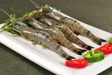 大虾养殖爆料图片大全视频,揭秘养殖爆料的图片与视频 第2张 大虾养殖爆料图片大全视频,揭秘养殖爆料的图片与视频 第2张