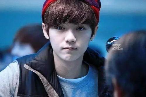 吃瓜娱乐圈陈哲远微博,娱乐圈幕后故事大揭秘 第2张 吃瓜娱乐圈陈哲远微博,娱乐圈幕后故事大揭秘 第2张