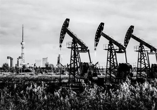 大庆油田爆料事件视频大全,揭露油田内幕与真相  第2张