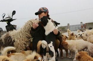 娱乐圈爆料流浪狗 第2张 娱乐圈爆料流浪狗 第2张